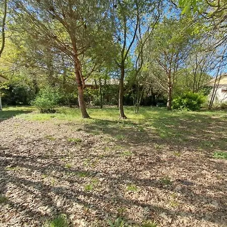 La Maison Des Coquilles *